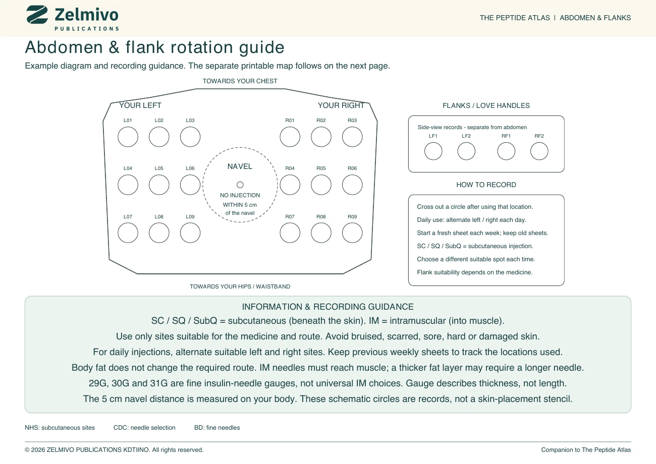 Abdominal explanation page from the Injection Site Rotation Guide, with a labelled diagram and pale-sage information box